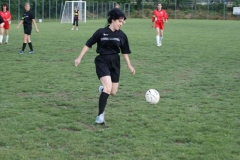 SONY DSC