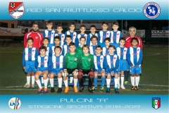 - PULCINI Anew