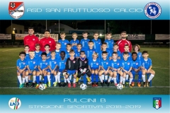 - PULCINI Bnew