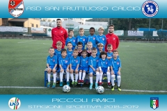 PICCOLI AMICI 2012 - 2013