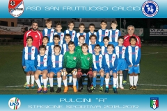 PULCINI 2008