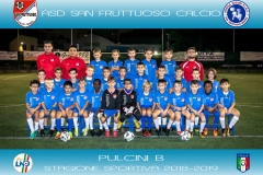 PULCINI 2010